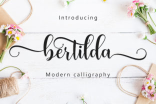 Bertilda Script: A Warm, Expressive Typeface for Thoughtful Branding