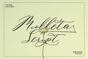 Font That Speaks Your Brand: Miolleta Script