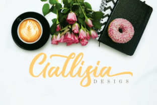 Gallisia Script: A Modern Handwritten Font for Scroll-Stopping Campaigns