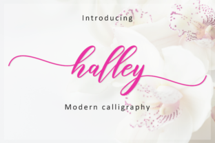 Halley Script: A Light, Romantic Handwritten Typeface for Editorial Warmth