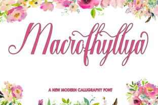 Macrofhyllya Script: A Brush-Stroke of Personality