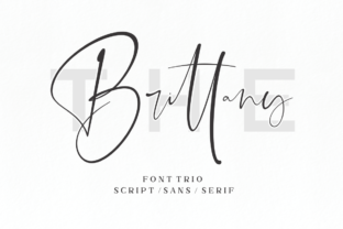 The Brittany Font: A Script Amp Essential for Creative Crafters